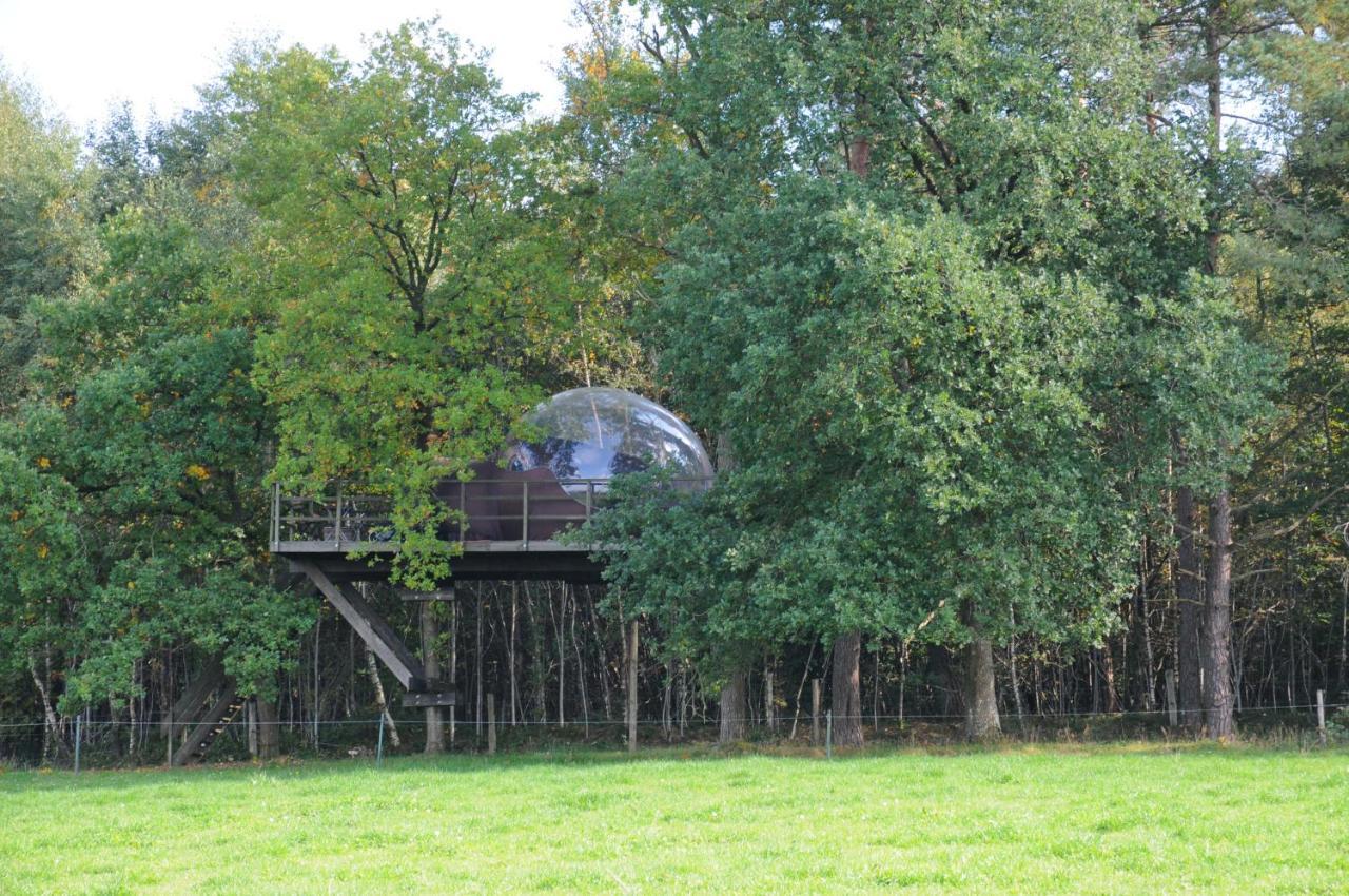 Hotel Sphair Perchee Fisenne Exterior foto